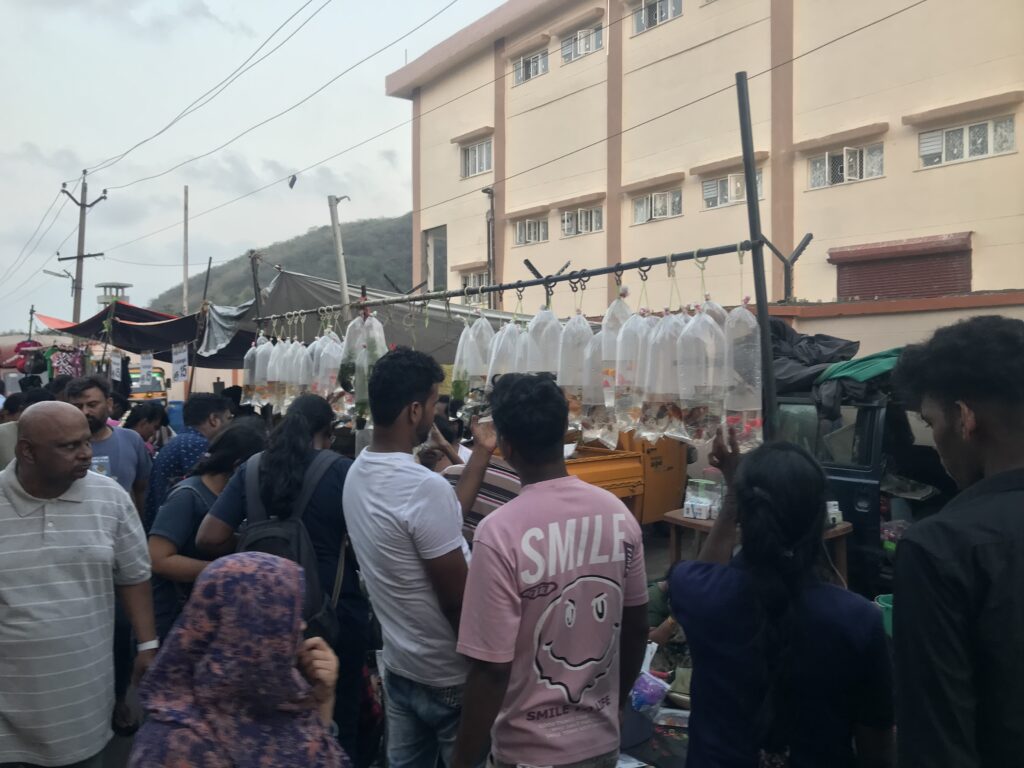 Pallavaram Sandhai