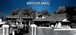 story of the amul milk
