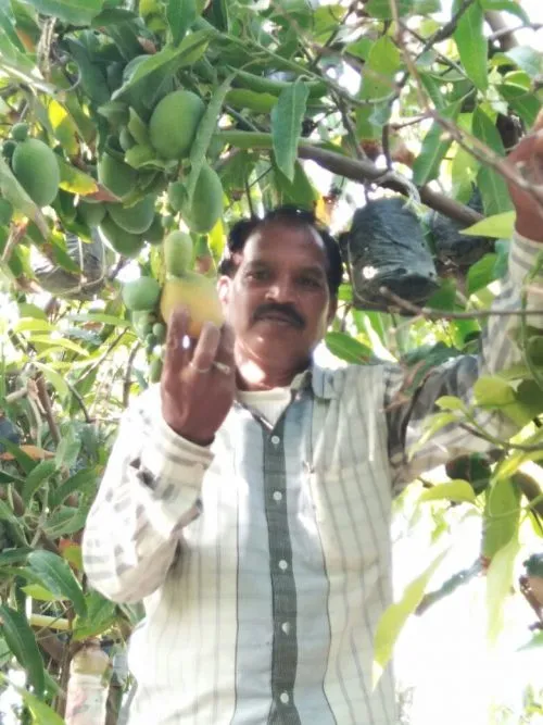 suman in his orchard 500x667