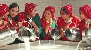 amul milk women farmers