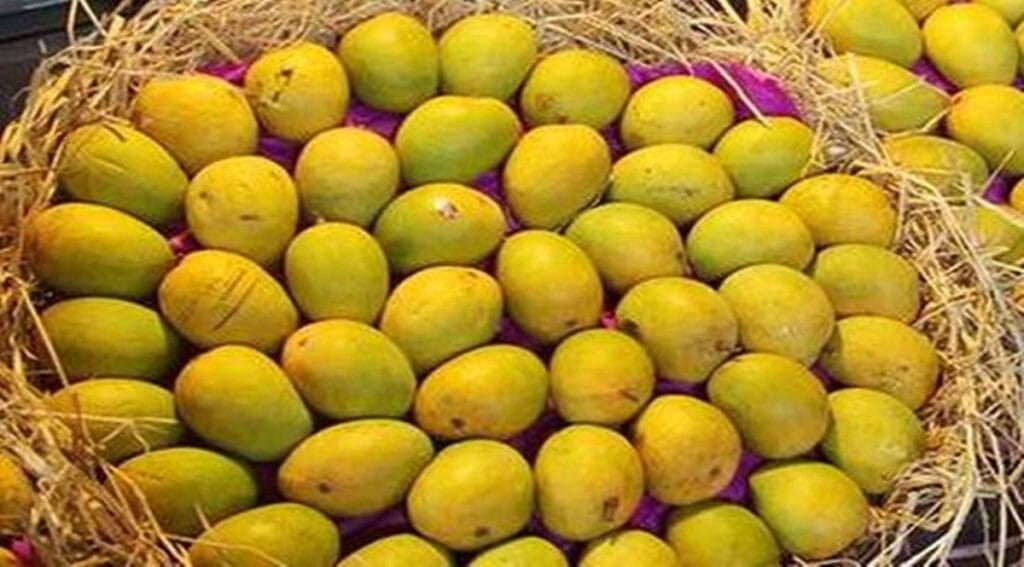 கனடாவுக்கு மாம்பழம், மாதுளை ஏற்றுமதி…