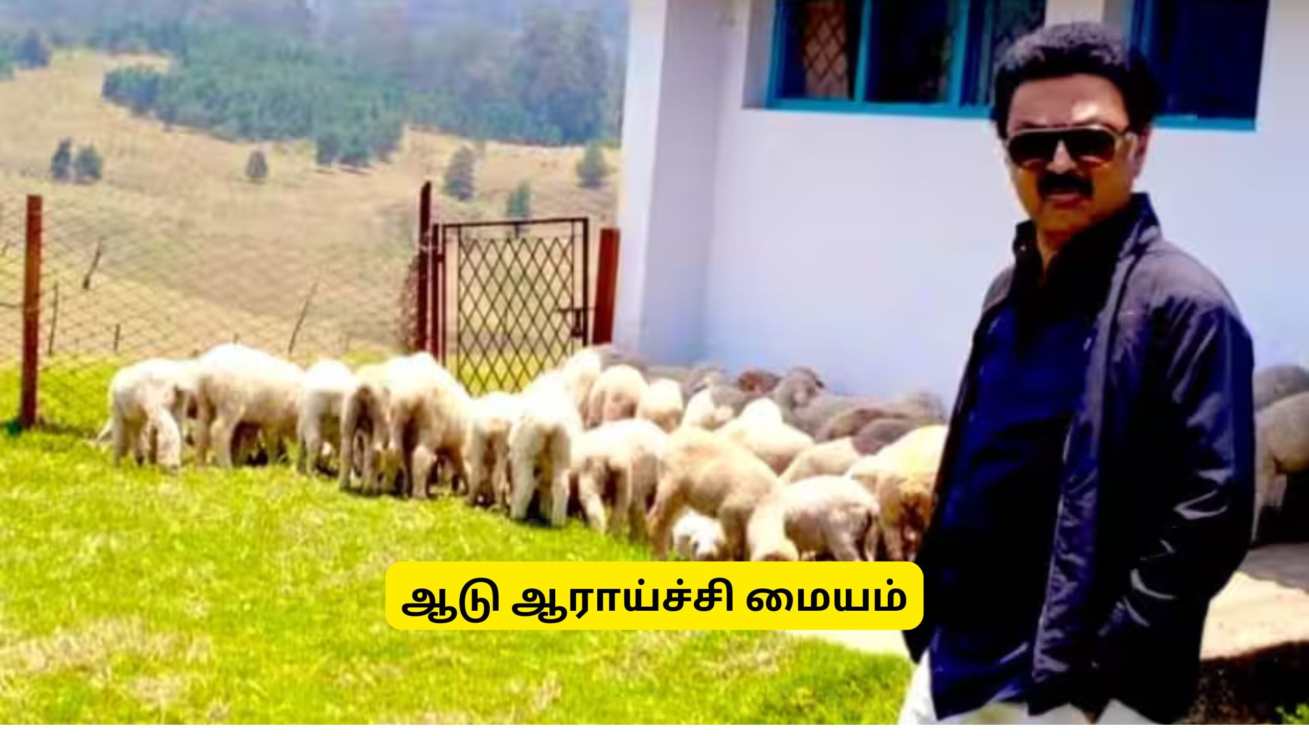 mk-stalin-kodaikanal-sheep-station