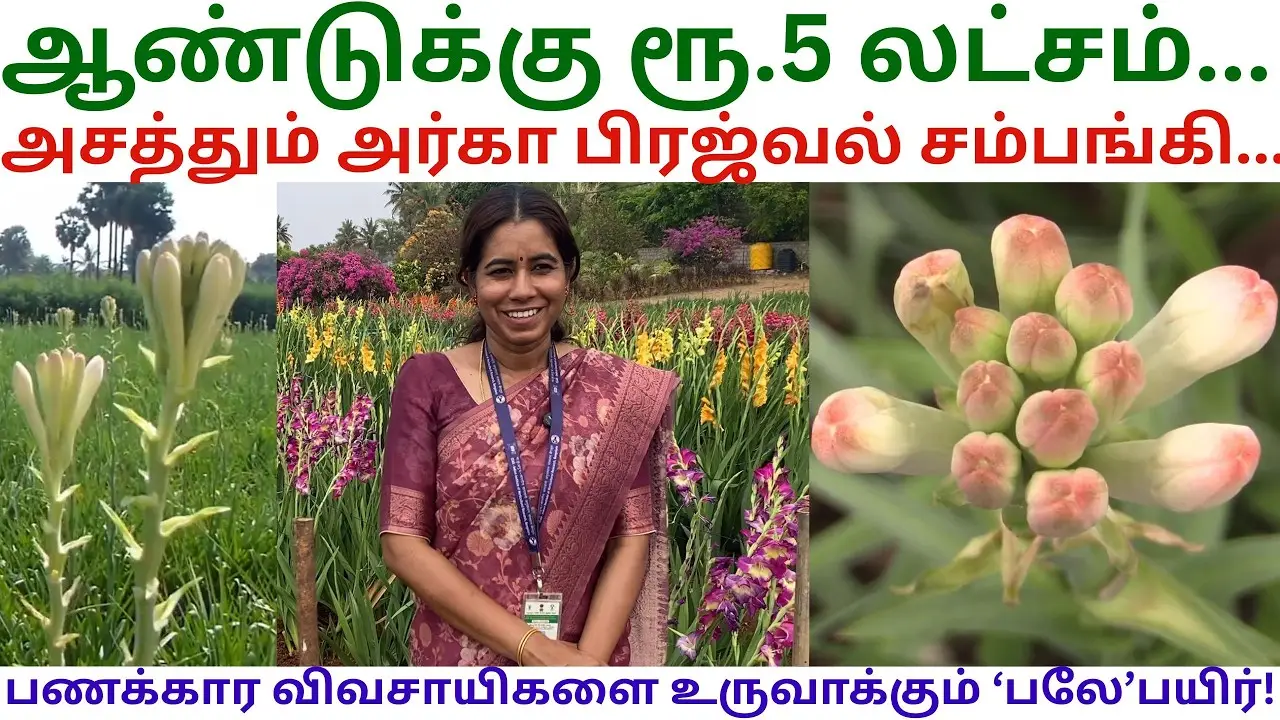 மாடி வீடு கட்ட வைத்த மலர் சாகுபடி | iihr | tamil farming tv