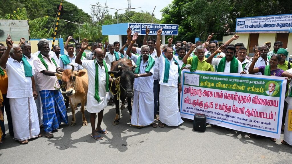 மாடு ஆவின்