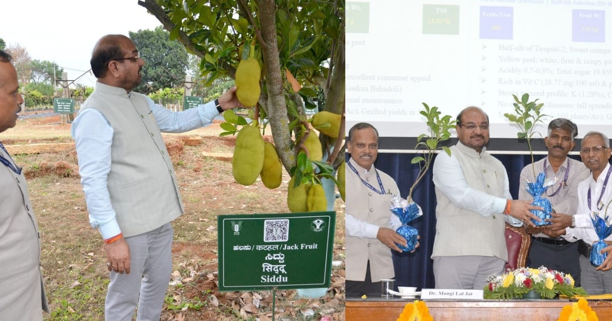 ICAR-IIHR தலைமை இயக்குநர் முனைவர் எம்.எல். ஜாட் பெங்களூரு ஆராய்ச்சி நிலையத்தில் பலா மரம் மற்றும் மாம்பழ ரகங்களை ஆய்வு செய்கிறார் — நாவல் மற்றும் பப்ளிமாஸ் புதிய ரகங்கள் அறிமுகம் 2026