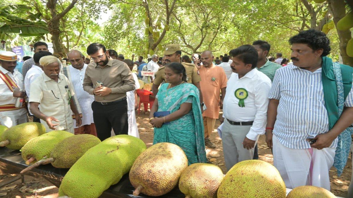 பண்ருட்டி பலாத் திருவிழா