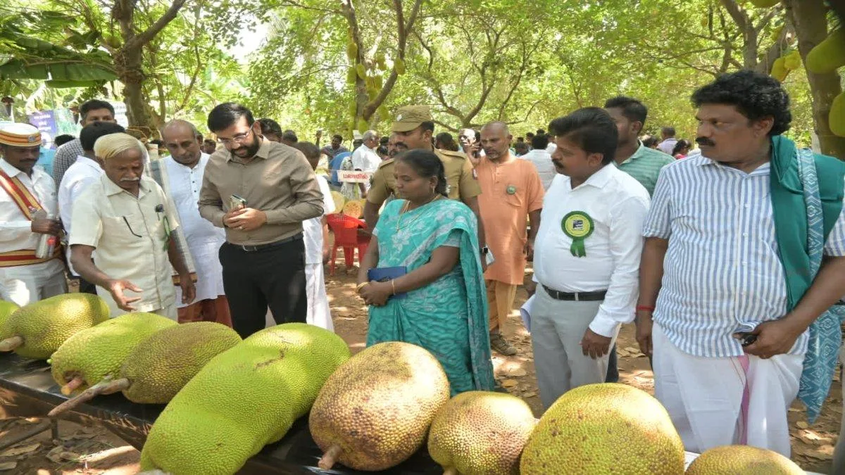 பண்ருட்டி பலாத் திருவிழா