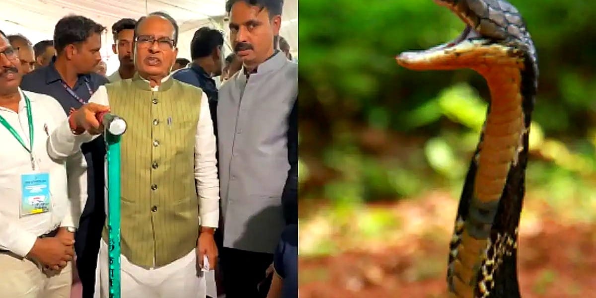 மத்திய அமைச்சர் சிவராஜ் சிங் சவ்கான் கிசான் மித்ரா தடியுடன்