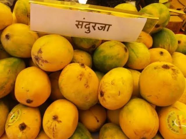 ரேவா சுந்தர்ஜா மாம்பழம் UAE ஏற்றுமதி APEDA தமிழ்நாடு விவசாயிகள்