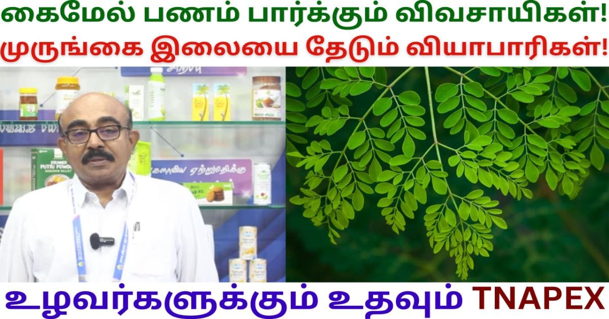 ஏற்றுமதிக்கு காய்கறி பழங்கள் வேண்டும்TNAPEX