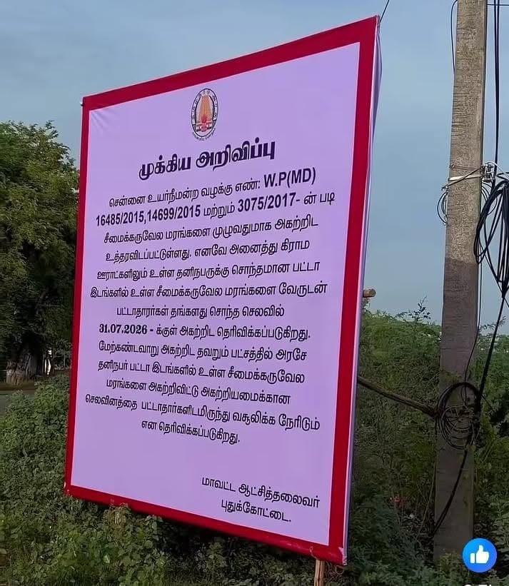 சீமைக்கருவேல மரம் அகற்றும் பணி - அரசு அறிவிப்பு
