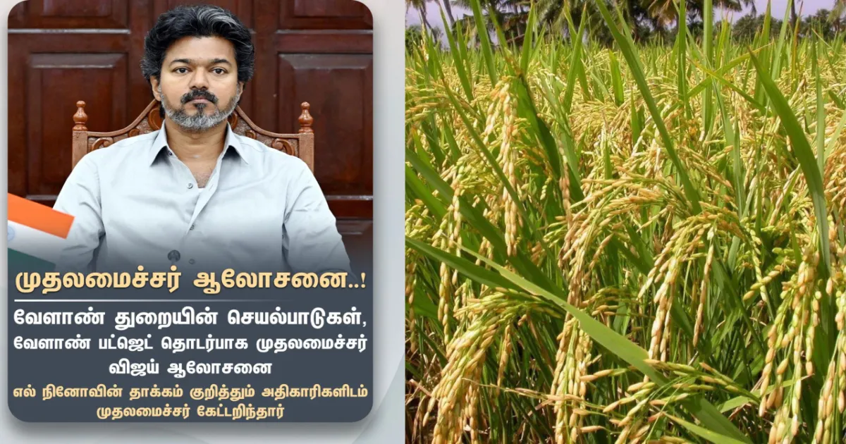 ஆத்தூர் கிச்சிலி சம்பா நெல் ரகம் சேலம் மாவட்டத்தில் சாகுபடி செய்யப்படும் பாரம்பரிய நெல்