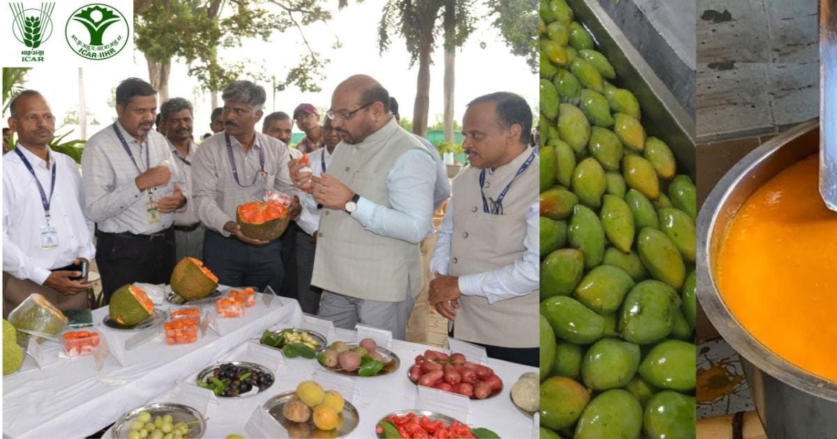 iihr தோத்தாபுரி மாம்பழம் - தமிழக விவசாயிகள் - கொள்முதல் திட்டம் 2026