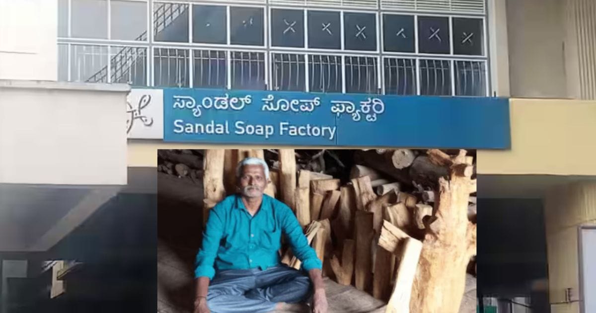 பெங்களூருவில் கனமழையில் விழுந்த சந்தன மரம் - விவசாயிக்கு ரூ.28 லட்சம் வெகுமதி