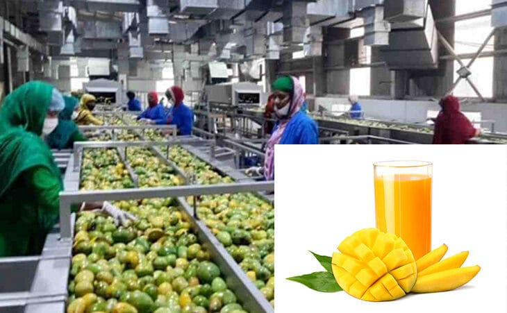 மாம்பழக்கூழ் தொழிற்சாலை