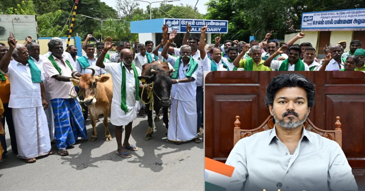 கர்நாடகா நந்தினி மற்றும் தமிழ்நாடு ஆவின்: பால் கொள்முதல் விலை, விவசாயிகள் வருமானம் மற்றும் கால்நடை வளர்ப்பை ஒப்பிடும் சிறப்புக் கட்டுரை