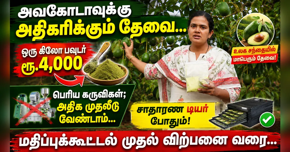 IIHR அவகோடாவுக்கு அதிகரிக்கும் தேவை