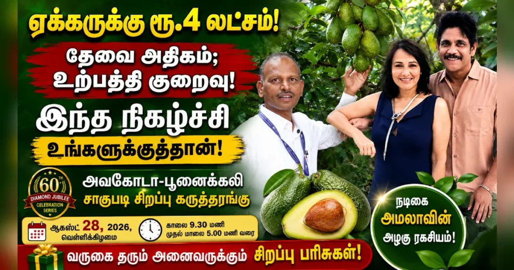 அமலா முதல் அமேசான் வரை: அவகோடாவுக்கு அதிகரிக்கும் தேவை! பூனைக்காலியுடன் லாபம் தரும் புதிய சாகுபடி வாய்ப்பு!