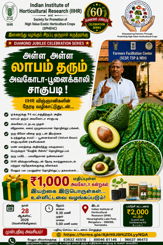 அவகோடா மற்றும் பூனைக்காலி சாகுபடி குறித்து IIHR அறிவிப்பு