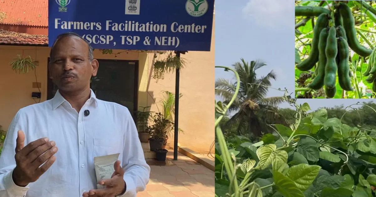 IIHR பெங்களூருவில் நடைபெறும் அவகோடா மற்றும் பூனைக்காலி சாகுபடி கருத்தரங்கு