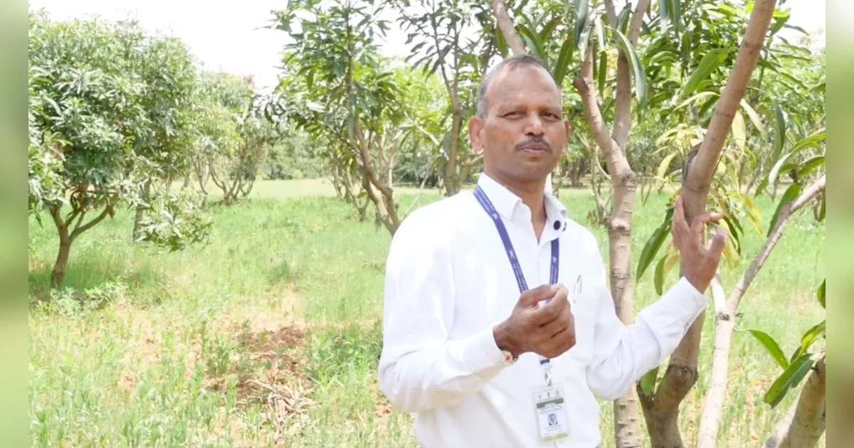 ICAR-IIHR பயிற்சி: கவாத்து மேலாண்மை & கொடம்புளி சாகுபடி