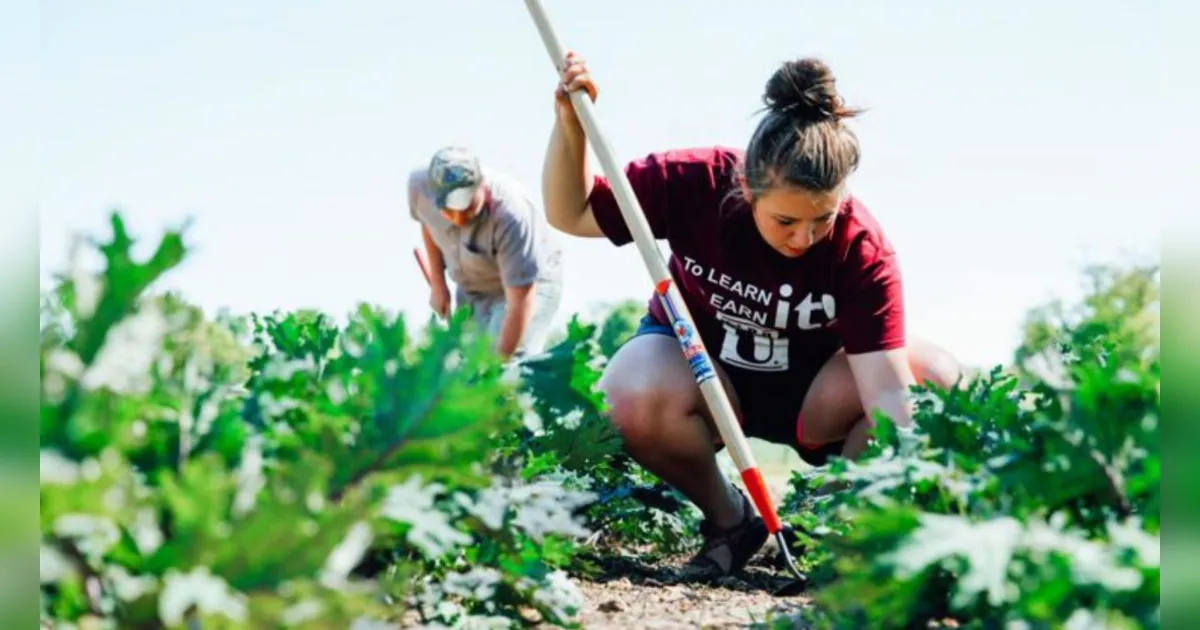 College of the Ozarks Hard Work U மற்றும் பெங்களூரு GPS Institute of Agricultural Management-ல் உழைப்புடன் கல்வி கற்கும் மாணவர்கள்