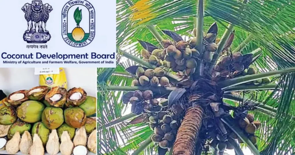 தென்னை விவசாயிகளை தேட வேண்டிய அரசு… விருதுக்கு விவசாயிகளே விண்ணப்பிக்க வேண்டுமா?
