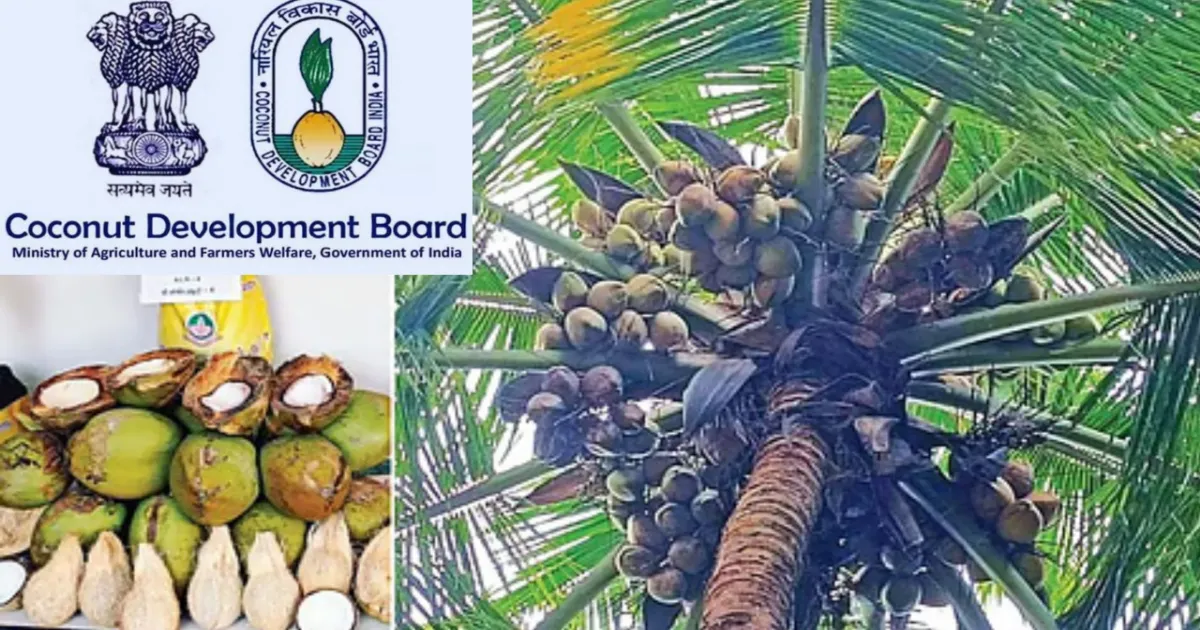 தேசிய தென்னை விருதுகள் 2026 – தென்னை விவசாயி