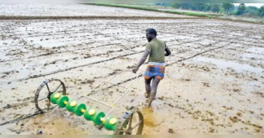 நெல் நடவு செலவை குறைக்கலாம்;TNAU வழிகாட்டுதல்கள்!
